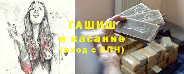 хмурый Алексин