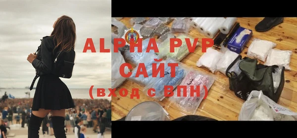 соль ск Ельня