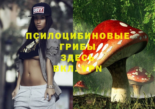 мяу мяу мука Алзамай