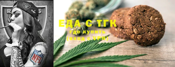 соль ск Ельня