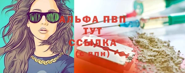 хмурый Алексин