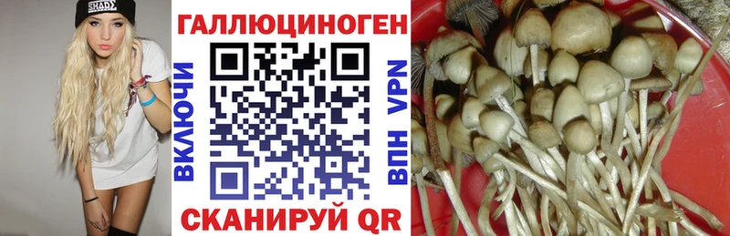 Псилоцибиновые грибы GOLDEN TEACHER  наркошоп  Андреаполь 